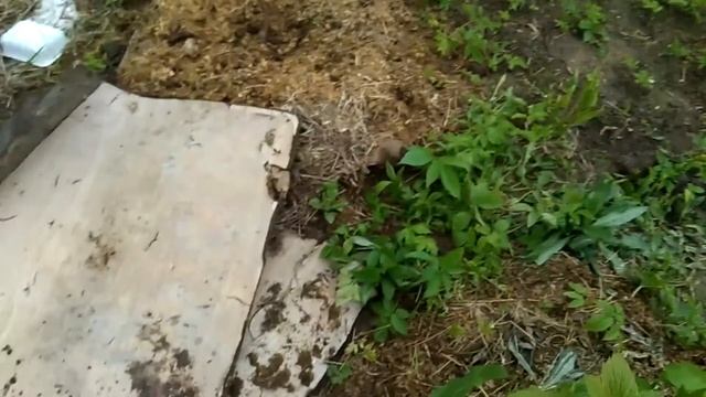 Стройка Стиля