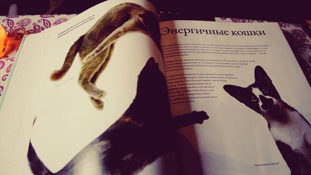 АСМР | ASMR - Книга 