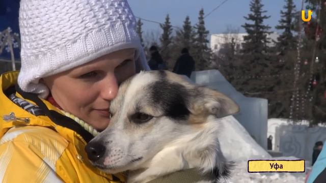 U news День влюбленных в животных смотреть онлайн