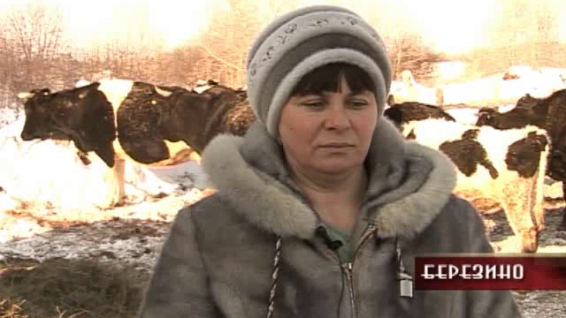 13 02 2015 смотреть онлайн