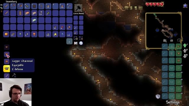 I Turned Terraria Into A PUZZLE GAME! (Bonus Series) смотреть онлайн