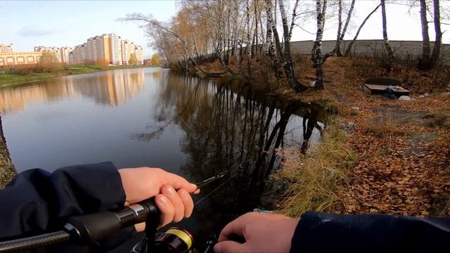 С Лайтом на Окуня . Ловля окуня в Подмосковье смотреть онлайн