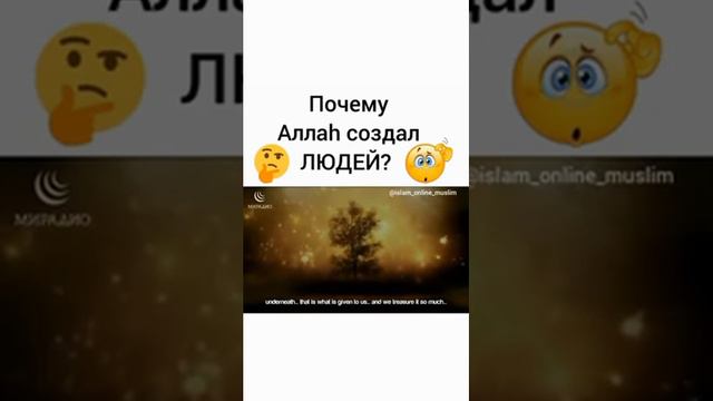 Почему Аллах создал людей смотреть онлайн