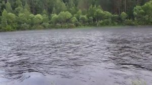 Ловля хариуса на Балду