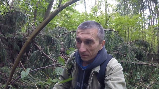 Гриб ЗОНТИК КРАСНЕЮЩИЙ ,один из лучших лесных деликатессов смотреть онлайн