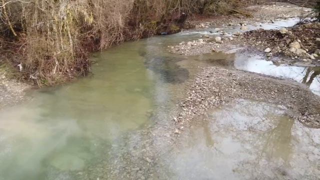 ВЫ НЕ ПОВЕРИТЕ, ЧТО МЫ ОБНАРУЖИЛИ В ЛЕСУ! смотреть онлайн
