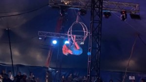 Цирк шапито / Арлекин шоу дикий