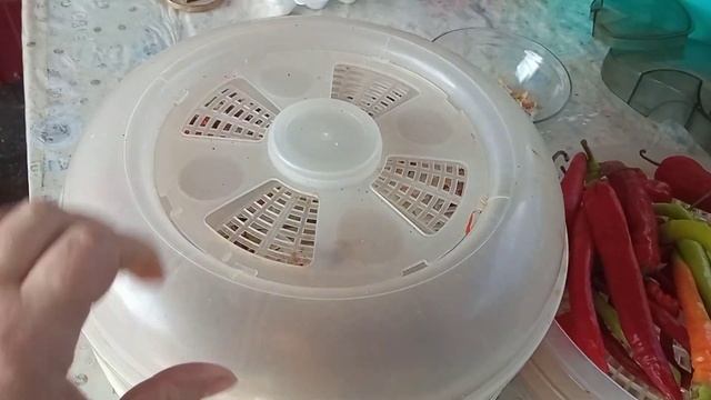 Женщина осень, выбираем сушилку! Сохраним чесночек?!!! смотреть онлайн