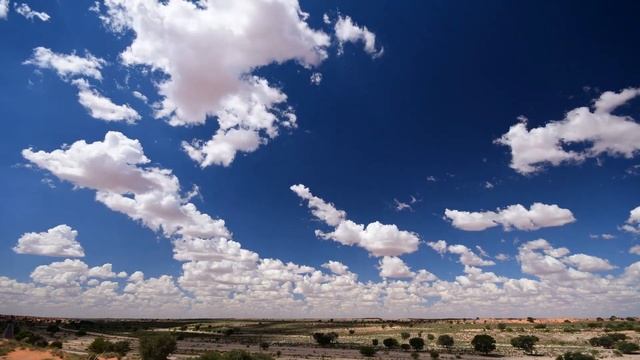 Kgalagadi Transfrontier Park 20 years old - Kgalagadi Photography смотреть онлайн