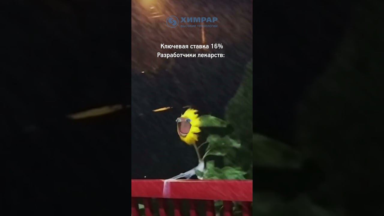 Ключевая ставка VS Рынок фармы | Химрар