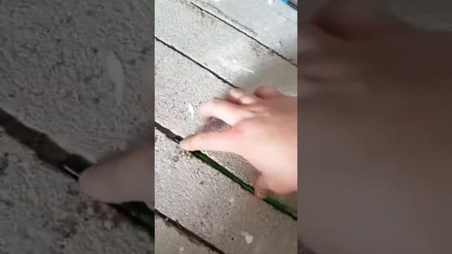 ШТРОБОРЕЗ ИЗ ЦИРКУЛЯРКИ-БЕЗ ПЫЛИ смотреть онлайн