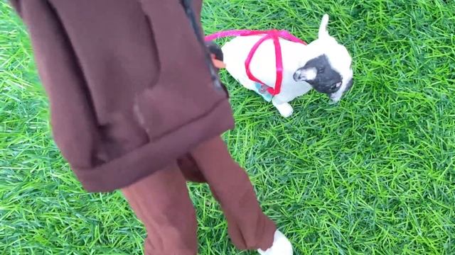 ВЛОГ: шоппинг,?гости, ??прогулка с Кирой? смотреть онлайн