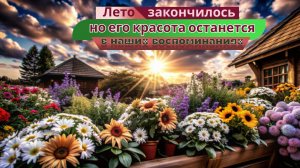 Релаксируй глядя на неописуемую красоту