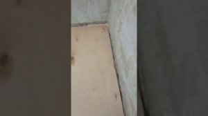 Укладка фанеры и линолеума на пол