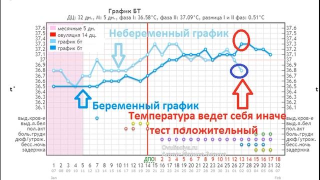 ?8-14 ДПО - признаки беременности ?ДО задержки (ПОДРОБНО С ПРИМЕРАМИ)! Самые ранние признаки зачати смотреть онлайн