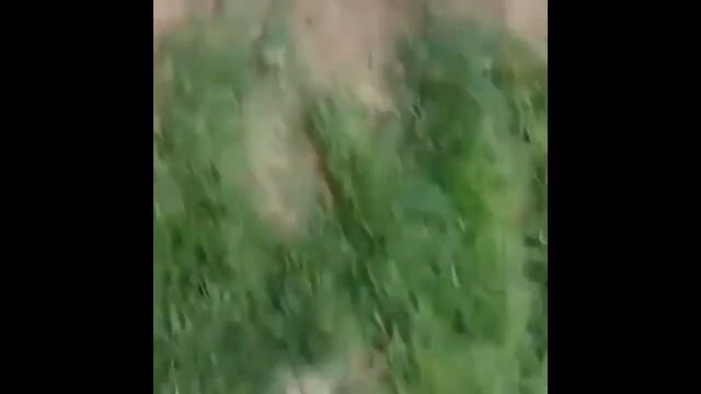 Сделай Сам для Любви к Творчеству