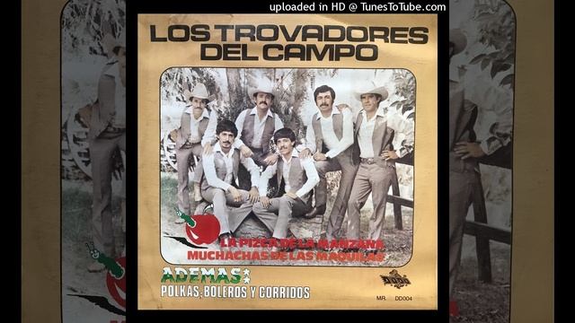 Los Trovadores Del Campo - Polkas, Boleros y Corridos LP смотреть онлайн