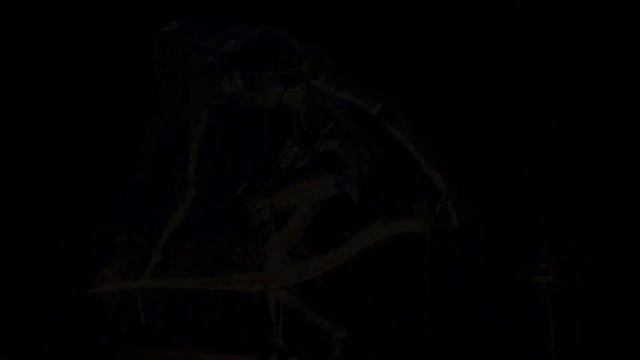 Dark Souls III Танцовщица Холодной долины похождение магом смотреть онлайн