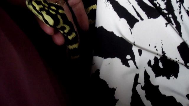 Jesse Is Getting Bigger Everyday (Jungle Carpet Python) смотреть онлайн