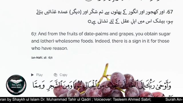 Quran Translation Surah An-Nahl: Chapter 16 Scenic Visuals Urdu Commentary & 8D Audio смотреть онлайн