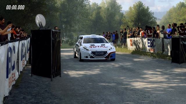 DiRT Rally 2 | Peugeot 208 T16 R5 | Verbundsring, Germany смотреть онлайн