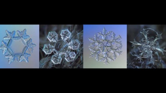 МУЗЫКОТЕРАПИЯ смотреть онлайн