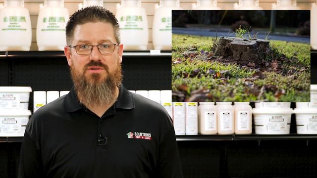 Do Mosquitoes Really Go Away When it's Cold Outside? | Pest Support смотреть онлайн
