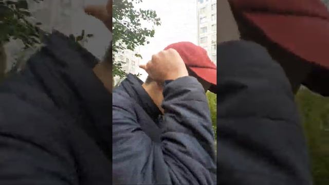 Серго пироговский??? 3!