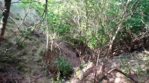 выживание в землянке охота с рогаткой на фазана картошка на углях