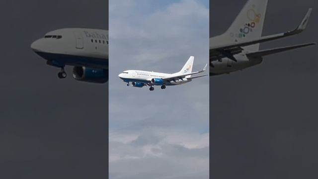 Ultra-rare visitor at DFW Airport (Bahamasair 737-700)! #shorts смотреть онлайн