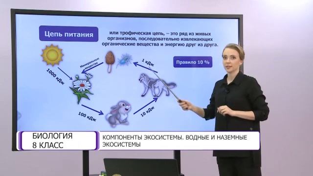 Биология. 8 класс. Компоненты экосистемы. Водные и наземные экосистемы /30.04.2021/ смотреть онлайн