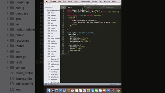 2 weeks Bootcamp Day 2: Coding and understanding creating a basic app смотреть онлайн