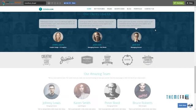 Consilium - Multipurpose Creative Drupal Theme Fulk Taro смотреть онлайн