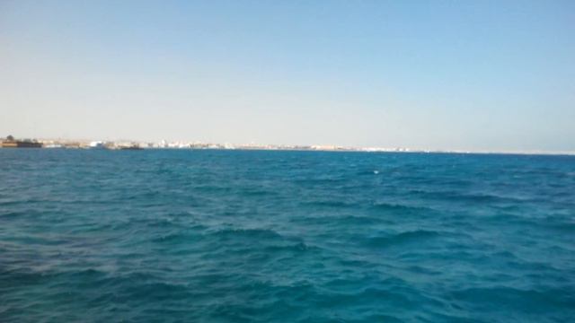 09 февраля 2017 "Прекрасное Красное море" смотреть онлайн