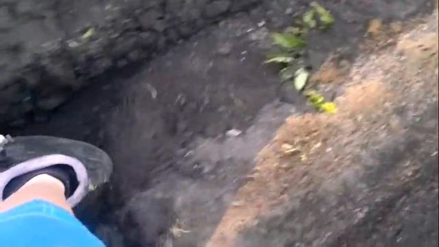 Окучивание картофеля на минитракторе УД-2 смотреть онлайн