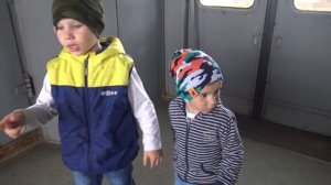 Скоростные поезда на станции стриж ласточка электрички товарные поезда видео