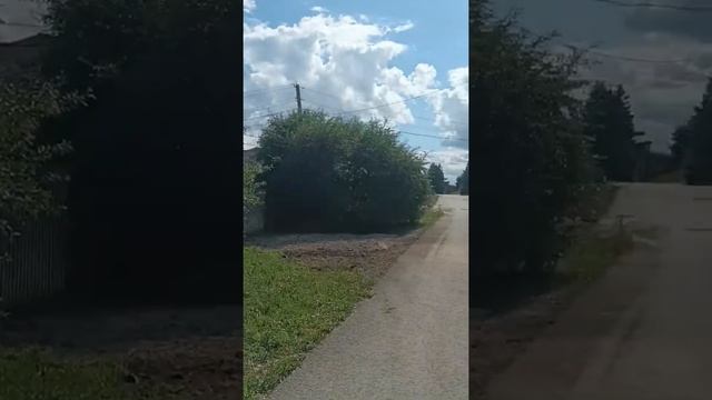 Тихое место. Красота на даче! #shorts #дача #природа #тишина #отдых смотреть онлайн