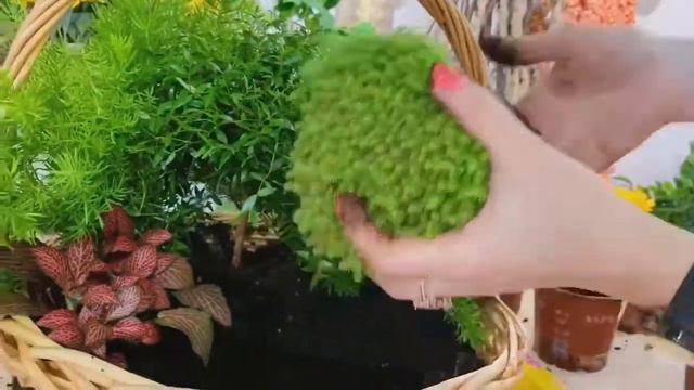 Сад в осеннем стиле смотреть онлайн