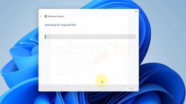 How to Install Google Play Store Apps on Windows 11 PC?