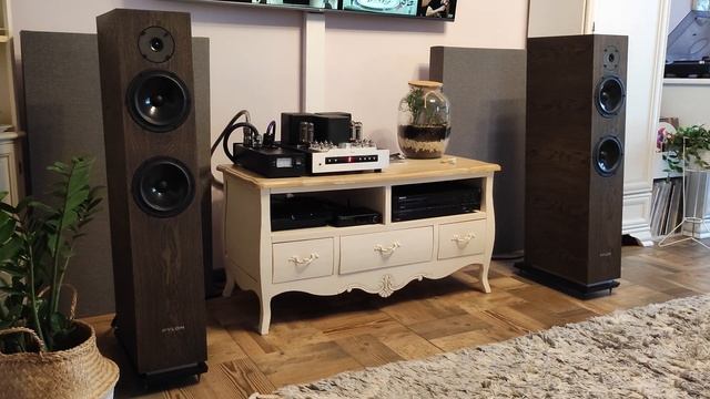 Yaqin MS-30L + Pylon Diamond 28 + Technics SL-1210MK2 + Audio Technica VM540ML + Esdarek MM-3 смотреть онлайн