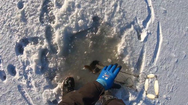 ЖЕСТЬ!!! Я ЕГО ПОЧТИ ПОДНЯЛ!!! КРУПНЫЙ САЗАН ПОРВАЛ ХАПУГУ И Ушёл... смотреть онлайн