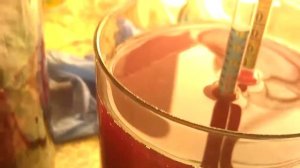 Стоит покупать виномер?