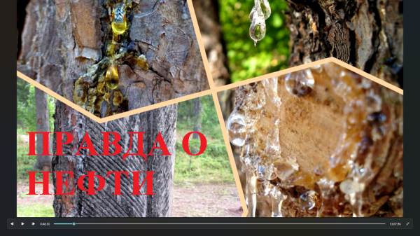 Кто делает Нефть. Нефть - это отработаный скипидар. Как пополняются "самообновляемые" запасы нефти..