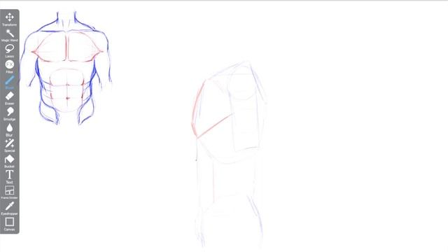 How to draw male anatomy (the torso) смотреть онлайн