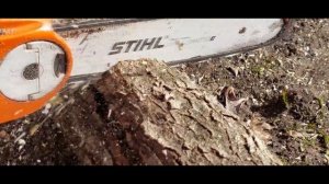 STIHL MSE 210 C 2.1kW Electric Chainsaw in action