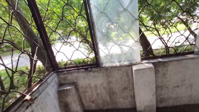 Студия 24 м с балконом в Западном Дегунино ипотека прописка быстрая сделка инвестиции в недвижимост смотреть онлайн