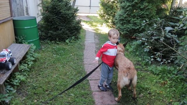 Влог 17-18.08.20 Обещала взять приемных детей смотреть онлайн