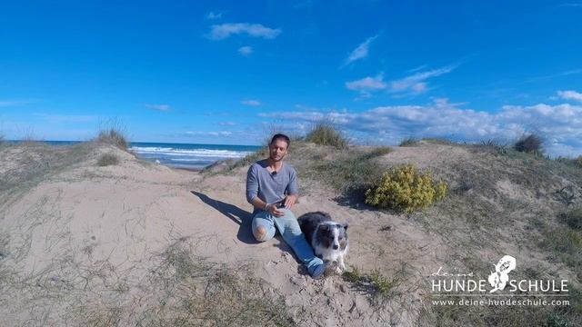 So funktioniert meine Online-Hundeschule! смотреть онлайн