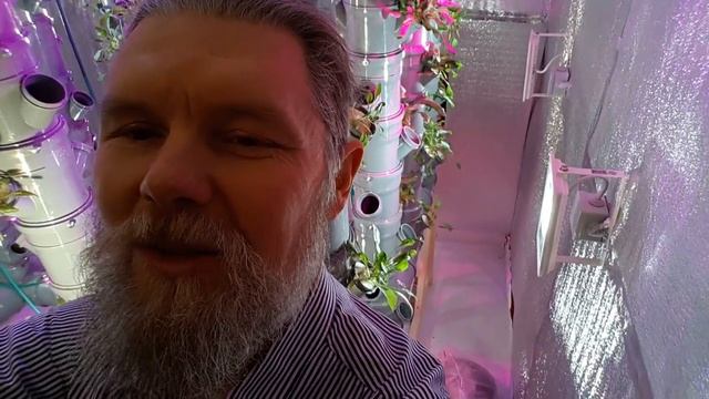 Алексей Балакин Аэропоника АЭРО-ФЛОРА. Выращивание зелени дома. Читай описание смотреть онлайн