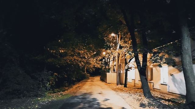 VID 20231002 194756 Как дым, что в небе...(Лопе Феликс де Вега Карпио)...Павел Васильев Лахтинский